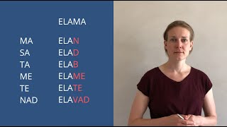 Learn Estonian Language Present Tense Part I [upl. by Rosalie]