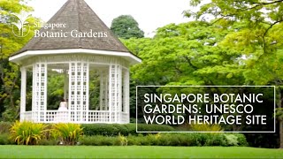 Singapore Botanic Gardens UNESCO World Heritage Site [upl. by Korrie]