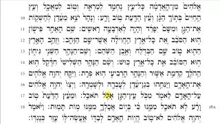 Torah Reading  Genesis Chapter 2 HD [upl. by Llorre]