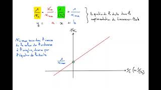 5 minutes pour comprendre Lineweaver Burk enzymologie appliquée [upl. by Ahsinac]