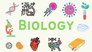 1 A Level Biology  Biological Molecules [upl. by Teerell828]