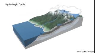 Hydrologic Cycle [upl. by Atihcnoc]