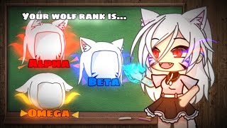 ✨ Alpha wolf 🐺  meme  gacha life  가챠라이프 Original concept [upl. by Netsreik]