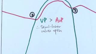 AS Biology  Cardiac cycle OCR A Chapter 85 [upl. by Kyte]