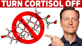 Why Its Hard To Turn Stress Cortisol Off – Dr Berg [upl. by Culosio]