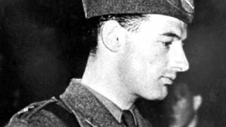 Raoul Wallenberg Tribute [upl. by Gervais]