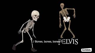 Bones Bones Bones [upl. by Ahtan]