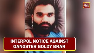 Sidhu Moose Wala Murder Case Interpol Notice Against Gangster Goldy Brar [upl. by Wilson]