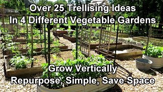 Organic Gardening For Beginners  Episode 2 [upl. by Winona]