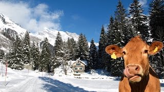 Switzerland Winter  HD [upl. by Oecam502]