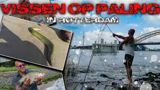 Paling Vissen In Rotterdam  Fishing For Eel In Rotterdam [upl. by Nathanoj745]