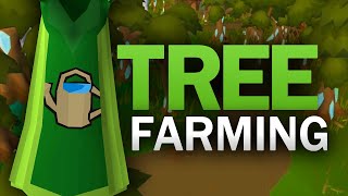 Complete Tree Farming Guide for OSRS [upl. by Stempson]