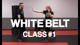 Introduction to Krav Maga  White Belt Class 1 Stance amp Palm Strike [upl. by Marylou]