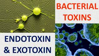 Bacterial toxins Endotoxin amp Exotoxin [upl. by Nitsraek]