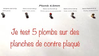 Test plombs pour carabine à air comprimé  45mm  solognac gamo Swiss arms [upl. by Iatnohs]