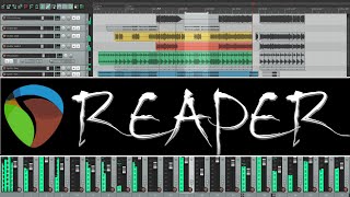 Reaper  The Most Recommended DAW [upl. by Luamaj]