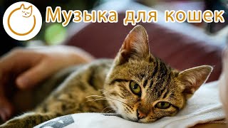 Расслабляющая музыка для кошек  успокаивающая музыка которая БЫСТРО успокаивает вашу кошку [upl. by Naget]