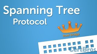 Spanning Tree Protocol Explained  Step by Step [upl. by Asiulairam]