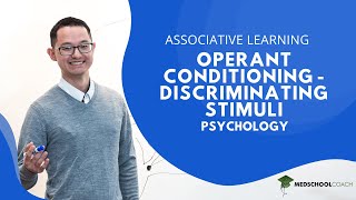 Operant Conditioning and Discriminating Stimuli [upl. by Yttisahc146]