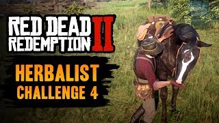 Red Dead Redemption 2 Herbalist Challenge 4 Guide  Pick 5 mushrooms and feed them to your horse [upl. by Ahsykal]