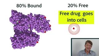 Pharmacokinetics Part 2 Distribution protein binding equilibrium [upl. by Heinrick996]