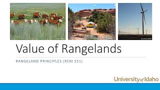 Values of Rangelands2021 [upl. by Anirrok]