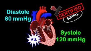 Systole Vs Diastole Made Easy [upl. by Solram]