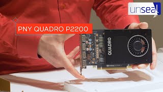 Unseal  PNY Quadro P2200 Graphics Card [upl. by God]