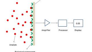 What are biosensors [upl. by Nibor]