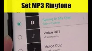 Samsung Galaxy S9  S9 Set MP3 Song as Ringtone [upl. by Kieger633]