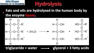 B3 Hydrolysis of lipids SL [upl. by Larual370]