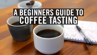 A Beginners Guide to Coffee Tasting [upl. by Trembly]