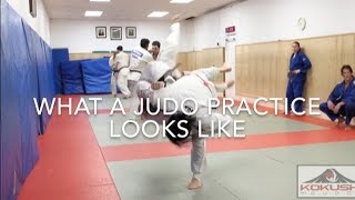 What a Judo practice looks like [upl. by Ezarras]