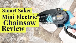 Saker Mini Electric Chainsaw Review [upl. by Yasmeen]