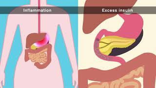 How Gut Bacteria Affect Your Health [upl. by Vesta]