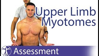 Myotomes Upper Limb  Peripheral Neurological Examination [upl. by Ttirrej906]