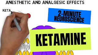 2Minute Neuroscience Ketamine [upl. by Atikcir]