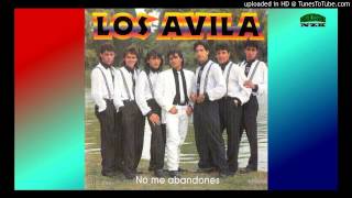 LOS AVILA GRANDES EXITOS CD ENTERO COMPLETO [upl. by Artemahs21]