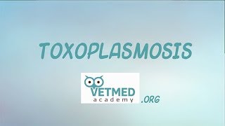 Toxoplasmosis [upl. by Ydissak]