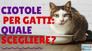 CIOTOLE PER GATTI QUALI SCEGLIERE [upl. by Kasey]