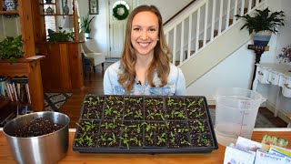 How to start seeds indoors with step by step instructions and demonstrations Northlawn Flower Farm [upl. by Schweitzer270]