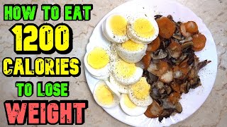 How To Eat 1200 Calories A Day To Lose Weight [upl. by Billen850]