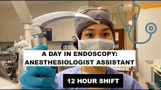 A day as an Anesthesiologist Assistant in EndoscopyGI [upl. by Jesh]