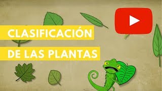 Clasificación de las plantas  Camaleón [upl. by Baron]