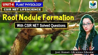 ROOT NODULE FORMATION AND BIOCHEMISTRY OF NOD GENES CSIR NETPLANT BIOLOGY [upl. by Eelessej]