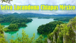 La Selva LACANDONA Chiapas Documental Mexicano 🌲 🍇 🌎 [upl. by Lered]