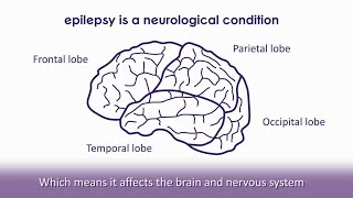 How do seizures affect you [upl. by Liamaj]