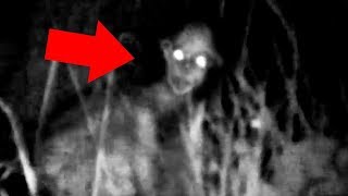 5 Mysterious Creatures Caught On Camera  Top 5 STRANGE Creatures [upl. by Rehotsirk]