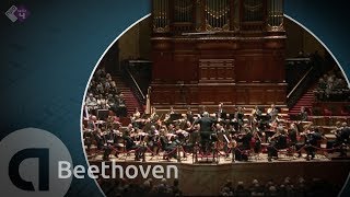 Beethoven Symphony no 3 Eroica  Philippe Herreweghe  Full concert in HD [upl. by Clarance931]