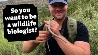 How To Become A Wildlife Biologist [upl. by Neivad669]